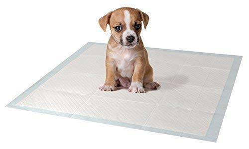 Garden Mile Welpe Kätzchen Toilette Training Pads für Hundewelpen Katzen Haustier Urine Matte groß Haus Piddle Wee Pad mit Geruchskontrolle Technologie Ultra saugfähige Anti-Rutsch Polster mehrere Use von garden mile