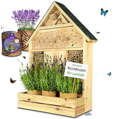 GARTENETAGE Insektenhotel zum Aufhängen mit Schieferdach und Pflanzenbalkon Lavendel - inkl. Anzuchtset/Naturbelassenes, massives Insektenhaus, Bienenhotel, Marienkäferhaus von gartenetage