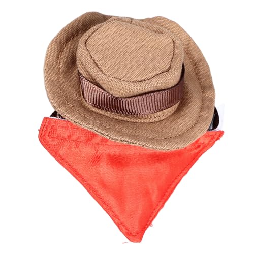 gernie Bartagamen-Cowboyhut und Bandana-Set, Halloween-Eidechsen-Reptilien-Kostüm, Coole Haustierkappe, Kleintier-Hamster-Outfit-Anzug, Eidechsen-Bandanas, Eidechsen-Melone für Hamster von gernie