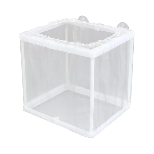 Fischzüchterbox mit Saugnäpfen - Aquarium Fisch Züchter Box für Jungfische | Trennnetz Schlüpfen Inkubator für Babyfische Garnelen Clownfisch Guppy Fisch Isolationsbox von gifyym