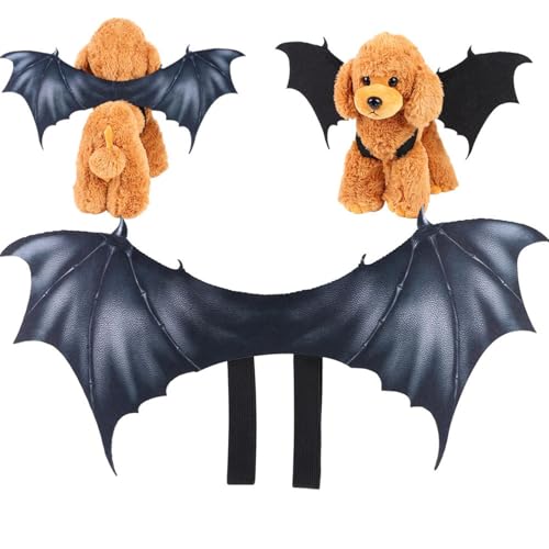 Halloween Kostüm Haustier Fledermausflügel | Schwarze Flügel für Hunde & Katzen | Cosplay Kostüm für Haustiere | Lustige Halloween Party Dekoration für Tiere von gifyym