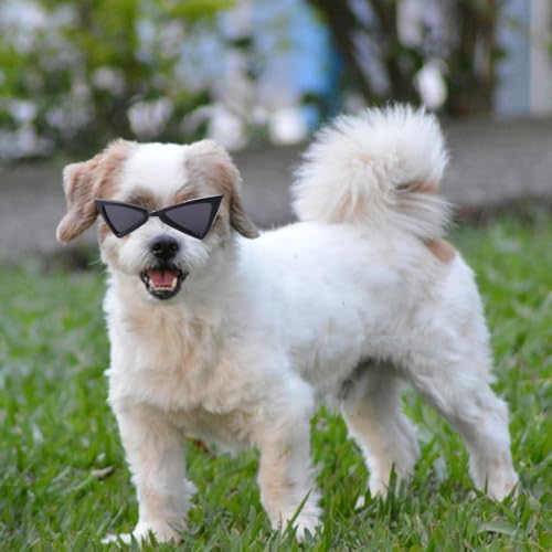 Hundesonnenbrille – Hundebrille | schützt die Augen des Hundes vor UV-Strahlung | Hunde-Sonnenbrille mit elastischem Band | Haustier-Retro-Dreieck-Brille | geeignet für kleine Hunde und Haustiere | von gifyym