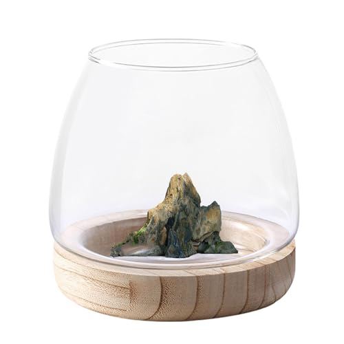 Hydrokultur-Pflanzenvase | Klare Vase für Aquarien mit Holzsockel | Ökologisches Aquarium | Blumenvase Mittelstück | Dekorative Glasschale für Hochzeit, Heimdekoration von gifyym