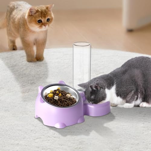 Katzennapf – Katzenfutter- und Wassernapf-Set | Katzennäpfe mit Ständer | Doppelte Katzennäpfe mit Wasserspender für Haustier | Futter- und Wasserspender für kleine mittelgroße Hunde Katzen | von gifyym