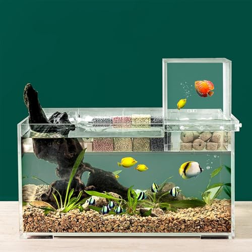 Nano-Unterdruck-Aquarium mit Filter und Licht, rechteckiges Aquarium mit LED-Licht, gleichmäßige Wartung, vakuumgehängtes Aquarium von gifyym