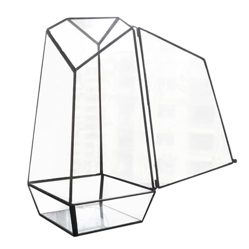 Pentagon Geometrisches Terrarium aus Glas, 25 cm, Terrarium, Blumendisplay mit Tür, handgefertigter Glas-Pflanzgefäß, geometrischer Terrarienbehälter für Farn, Moos und Luftpflanzen von gifyym