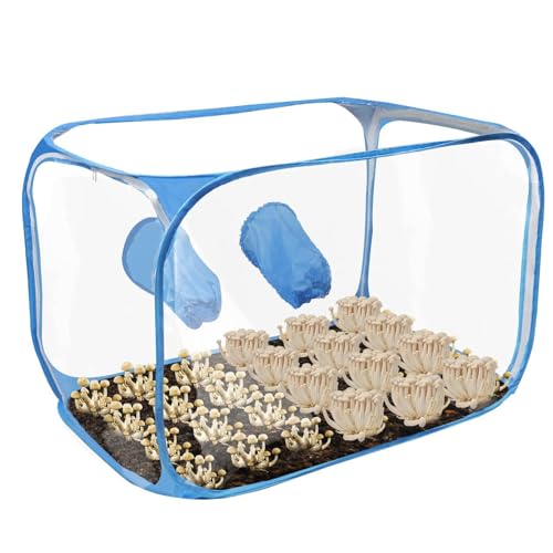 Pilzzucht-Luftbox, Pilzpflanzbeutelzelt, Pilzvermehrungsstationen, zusammenklappbare Pilzzuchtbehälter für Pilzliebhaber, lehrreiche Erfahrung von gifyym