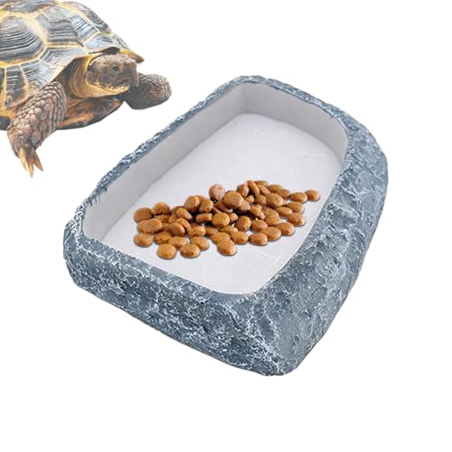 Reptilien-Wassernapf | Reptilienfutter Futternapf Terrarium | Harz Terrarium Zubehör für Einsiedlerkrebse, Gecko, Bartdrache Reptilien-Wassernapf | Reptilienfutter Futternapf Terrarium | Harz Terrarium Zubehör für Einsiedlerkrebse, Gecko, Bartdrache von gifyym