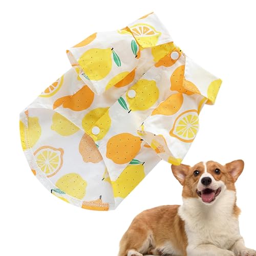 Sommer-Hundekleidung | atmungsaktives Welpen-Outfit, Hundebekleidung, Obst-Aufdruck, Haustier-T-Shirt, Hunde-Shirt für kleine und mittelgroße Hunde, Sommer von gifyym