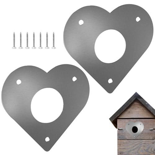 Vogelhaus Eintrag Predator Guard | Bird House Guard | Metal Bird House Protector | Metal Birdhouse Nest Entry Guard | Spechtschutz Flugeingangskabine Befestigungsschrauben Für Park, Garten von gifyym