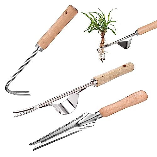 gotyou 3 Stück Unkrautstecher Edelstahl,Wurzeljäter mit Holzgriff,Manueller Weeder,Garden Hand Weeder,Manueller Unkrautstecher,für Garten Jäten, Umpflanzen, Entwurzeln, Graben von gotyou