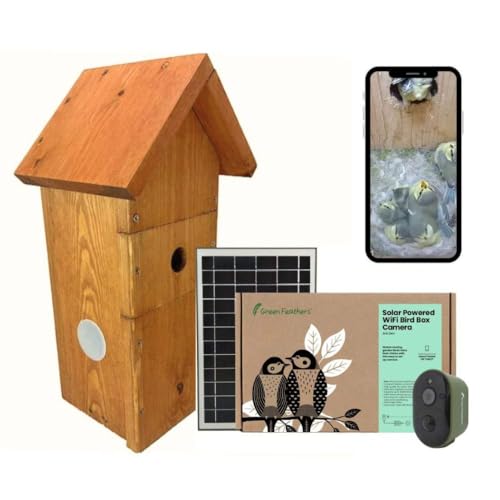 Green Feathers Batteriebetriebene Solar-Vogelkasten-Kamera mit WLAN-Konnektivität und Vogelkasten, wetterfeste Wildkamera für Vogelkästen & Garten - Starter-Set von greenfeathers