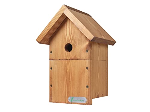 Green Feathers Vogelbox aus Holz, mit grünen Federn von greenfeathers