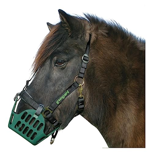 greenguard Halfter 55 Standard Pony Passend zum Weidemaulkorb von greenguard