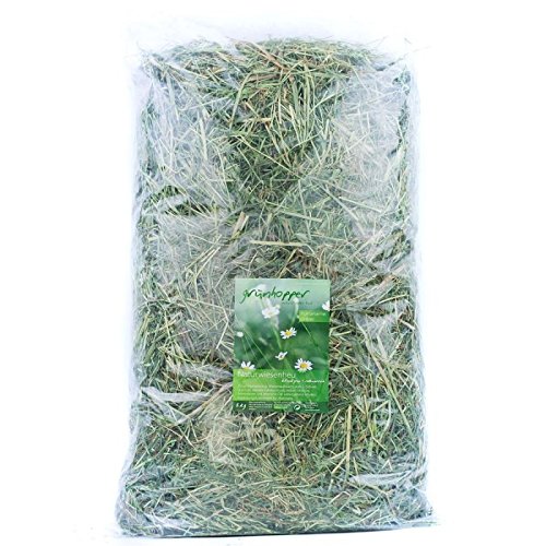 grünhopper Naturwiesenheu 1kg von grünhopper