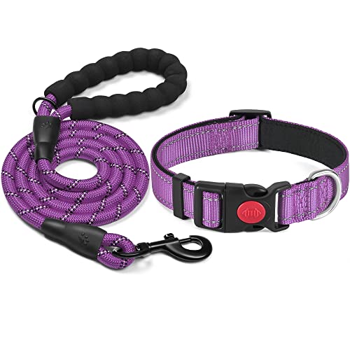 haapaw reflektierendes Hundehalsband gepolstert mit weichem Neopren atmungsaktiv einstellbar Nylon Hundehalsbänder für kleine mittlere große Hunde von haapaw