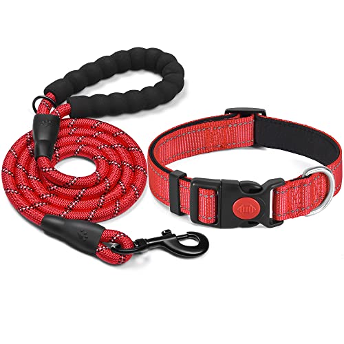 haapaw reflektierendes Hundehalsband gepolstert mit weichem Neopren atmungsaktiv einstellbar Nylon Hundehalsbänder für kleine mittlere große Hunde von haapaw