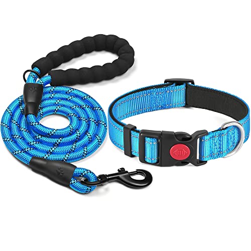 haapaw reflektierendes Hundehalsband gepolstert mit weichem Neopren atmungsaktiv einstellbar Nylon Hundehalsbänder für kleine mittlere große Hunde von haapaw