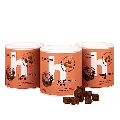 Hanf Minis für kleine Hunde, Snack für Hunde in Würfelform Getreidefrei, bessere Konzentration, Naturprodukt aus Österreich, 3 x 90g (Rindfleisch) von hanfred