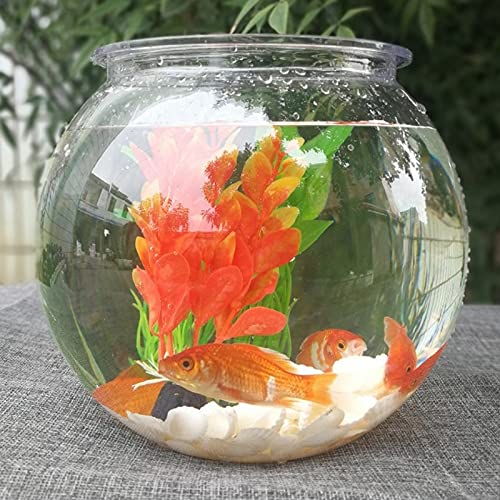 Aquarium Fischtank Wohnzimmer Kleine Schildkröte Gold Fischtank Desktop Kreative Turtle Tank Haushalt Hydroponic Ware Pflanze Blumentopf Container Aquarien ( Color : White , Size : 4 liter ) von hanxiaoyishop