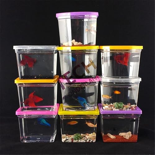 hanxiaoyishop Aquarium Buntes Betta Haus Rechteck Kampf mit Betta-Fischtank Aquarium-Wohnzimmer Büro-Büro-Desktop-Hauswarming-Geschenk Aquarien (Color : Color, Size : Rectangle) von hanxiaoyishop