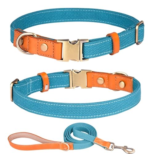 Haoyueer Hundehalsband aus Nylon, mit Metall-Sicherheitsschnalle, verstellbarem Leder und Nylon für Haustierhalsbänder und Leine für kleine, mittelgroße und große Hunde (Größe S, Hellblau) von haoyueer