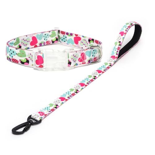 Haoyueer Hundehalsband und Leine, Set mit niedlichem Blumenmuster, Geschenk für Welpen, kleine, mittelgroße und große Jungen, Mädchen, Hunde (Nr. 6, L) von haoyueer