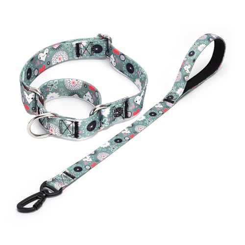 Haoyueer Martingale Halsband und Leine, hochwertiges rutschfestes Martingale-Halsband für Hunde, Größe M und L, für Mädchen und Hunde (Nr. 14, L) von haoyueer