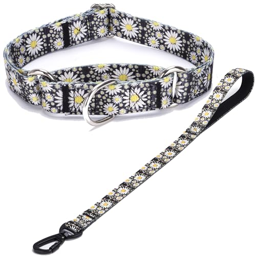 Haoyueer Martingale Halsband und Leine, hochwertiges rutschfestes Martingale-Halsband für Hunde, Größe M und L, für Mädchen und Hunde (Nr. 32, XL) von haoyueer