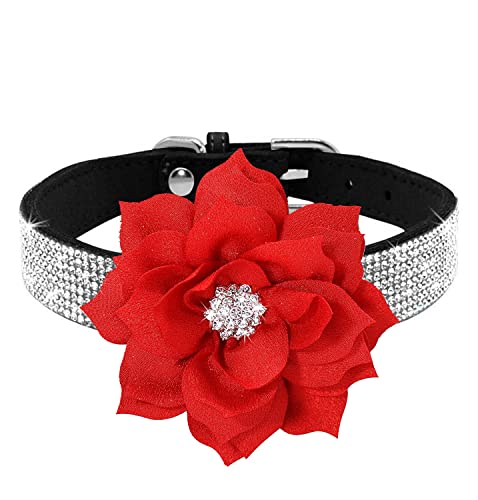 Haoyueer Strass-Hundehalsband, niedlich, schillernd, funkelnd, weiches Wildleder, für Hunde und Katzen, Strass-Halsband mit Kristalldiamanten, für Haustiere, Hunde, Welpen, Größe M (Schwarz, 6, M) von haoyueer