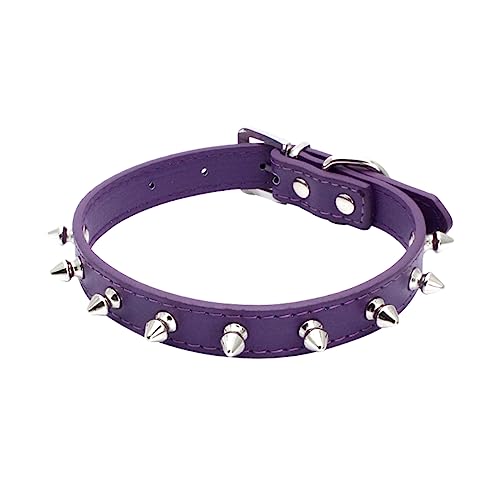 haoyueer Hundehalsband aus Leder, mit Nieten, Pilze, Nieten, Katzenhalsband für kleine mittelgroße Hunde, Katzen, Welpen, Kitty (S, Lila) von haoyueer