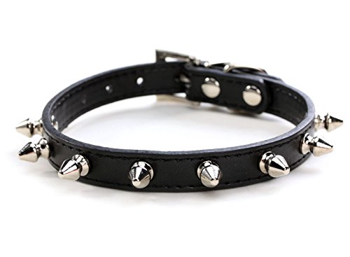 haoyueer Hundehalsband aus Leder, mit Nieten, Pilze, Nieten, Katzenhalsband für kleine mittelgroße Hunde, Katzen, Welpen, Kitty (S, Schwarz) von haoyueer