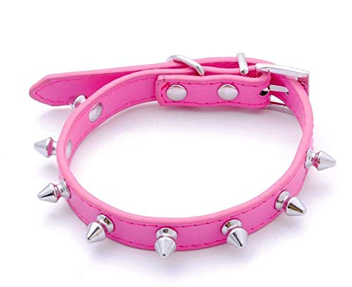 haoyueer Hundehalsband aus Leder, mit Nieten, Pilze und Nieten, Katzenhalsband für kleine, mittelgroße Hunde, Katzen, Welpen, Kitty (XS, Hot Pink) von haoyueer