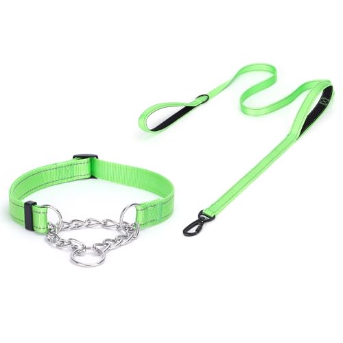 haoyueer Martingale Hundehalsband, Edelstahlkette, Martingalhalsband mit reflektierenden, verstellbaren für mittelgroße große Hunde (Grünes Set, M) von haoyueer