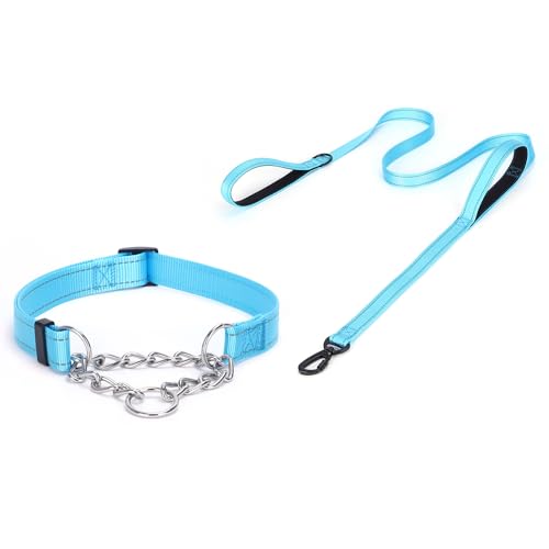 haoyueer Martingale Hundehalsband, Edelstahlkette, Martingalhalsband mit reflektierenden, verstellbaren für mittelgroße große Hunde (Hellblau Set, M) von haoyueer