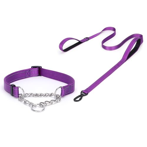 haoyueer Martingale Hundehalsband, Edelstahlkette, Martingalhalsband mit reflektierenden, verstellbaren für mittelgroße große Hunde (Lila Set, L) von haoyueer