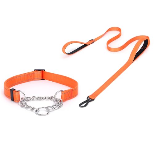 haoyueer Martingale Hundehalsband, Edelstahlkette, Martingalhalsband mit reflektierenden, verstellbaren für mittelgroße große Hunde (Orange Set, L) von haoyueer