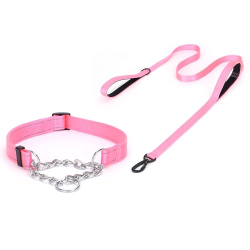 haoyueer Martingale Hundehalsband, Edelstahlkette, Martingalhalsband mit reflektierenden, verstellbaren für mittelgroße große Hunde (Rosa Set, S) von haoyueer