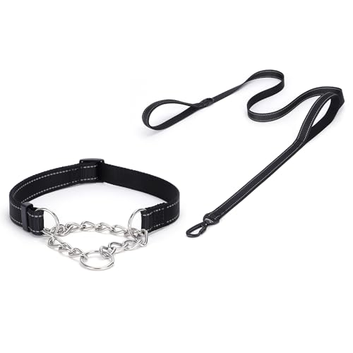 haoyueer Martingale Hundehalsband, Edelstahlkette, Martingalhalsband mit reflektierenden, verstellbaren für mittelgroße große Hunde (Schwarz Set, L) von haoyueer