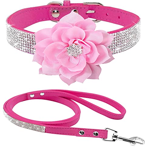 haoyueer Strass-Hundehalsband, niedlich, schillernd, funkelnd, weiches Wildleder, für Hunde und Katzen, Strass-Halsband, Leine, Kristalldiamant, Haustier, Welpen, Hot Pink 6 von haoyueer