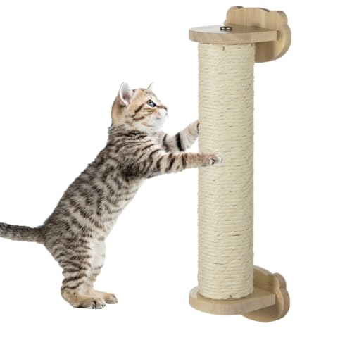 Kratzstamm Kleine Katzen Katzenkratzbaum Sisalseil Kratzbaum mit Bürste Kratzsäule für Katzen Scratching Post Langlebig Katzenkratzbaum für Kätzchen im Katzenkäfig, 30 cm von haozaikeji