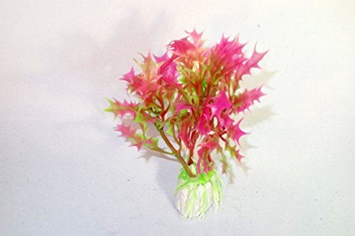 Kunstpflanze grün - pink 10 cm Aquarium Dekoration von happet