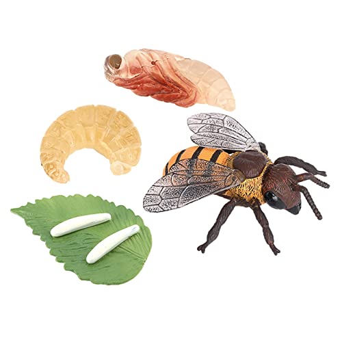 harayaa 1 von Tierlehr Requisiten, Lernspielzeug für Schüler, Bee von harayaa