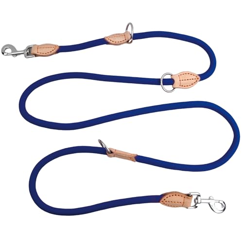 2m Hundeleine mit 2 Karabiner, Nylon Doppelleine, Robuste Trainingsleine Schleppleine, Tragbar Hunde Doppelleine Verstellbar, Übungsleine Dauerhafte für kleine, mittelgroße und große Hunde (blau) von heavenlife