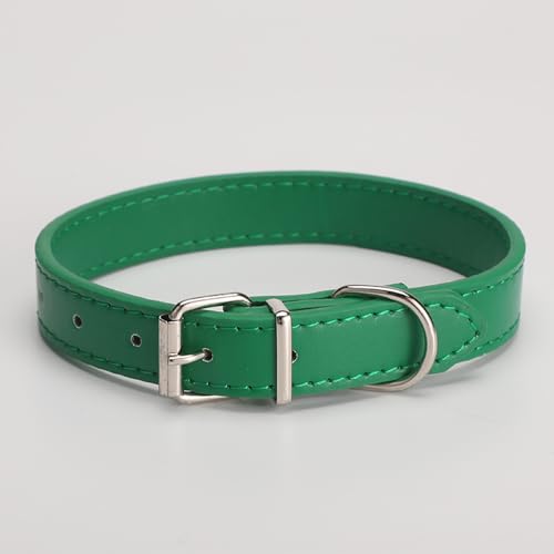 Hundehalsband aus Leder für kleine, mittelgroße und große Hunde, verstellbar, Welpenhalsband, Metallschnalle, XL, Grün von helioflicker