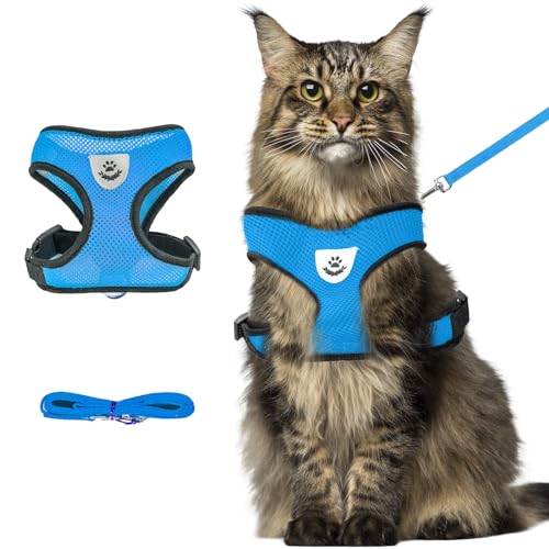 Brustgeschirr und Leine für Hunde und Katzen, verstellbare Leine und Brustgeschirr, aus weichem Netz für Welpen und kleine Hunde, mittelgroße Hundeweste(Blau, XL) von heqxwl