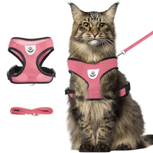 Brustgeschirr und Leine für Hunde und Katzen, verstellbare Leine und Brustgeschirr, aus weichem Netz für Welpen und kleine Hunde, mittelgroße Hundeweste(rosa Farbe, XL) von heqxwl