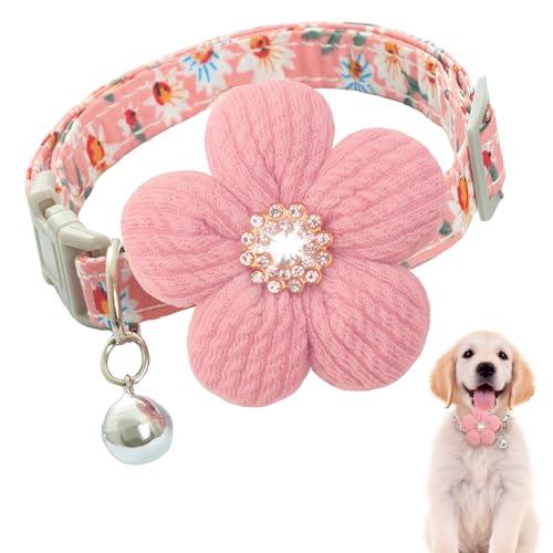 Welpen-Hundehalsband, verstellbares Halsband mit Blume und Glocke für kleine und mittelgroße Hunde, Halsband für Mädchen, Welpen, Hunde, verstellbare Länge von heqxwl