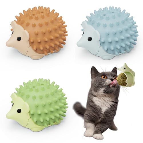 heqxwl Katzenminze Spielzeug,3pcs Catnip Wall Ball,mit Aufbewahrungsdeckel,für Katzenlecken, Zahnreinigung Dentales essbares Kätzchenspielzeug (Igel) von heqxwl