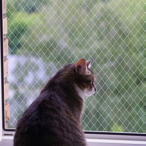 heqxwl Nylon Katzenschutznetz Katzennetz für Balkon Ohne Bohren Transparent Können Zuschneidbar ​und Bissfest Balkonnetze für Katzen ​zur Absicherung von Terrasse, Fenster und Türen (3x3 m) von heqxwl